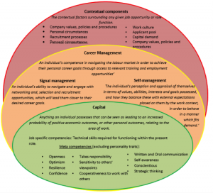 Stella Williams: a conceptual framework of employability